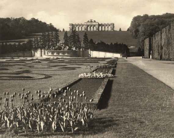 Schwarz-weiß-Fotografie von Tulpen im Parterre im Schlosspark Schönbrunn.