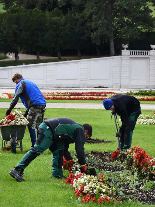 Lehrlinge an der HBLFA für Gartenbau und Österreichische Bundesgärten