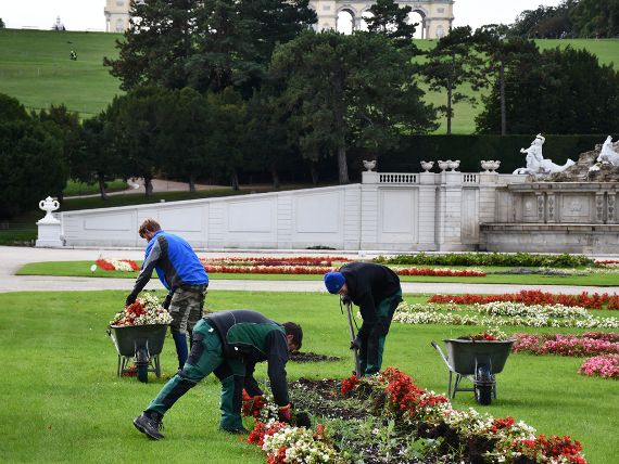 Lehrlinge an der HBLFA für Gartenbau und Österreichische Bundesgärten