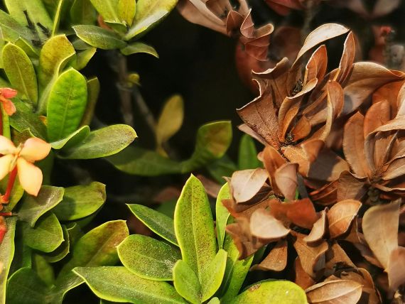 Science Day im Zeichen des Klimawandels